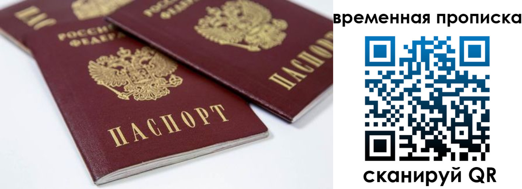 прописка для школы в Петровск-Забайкальском